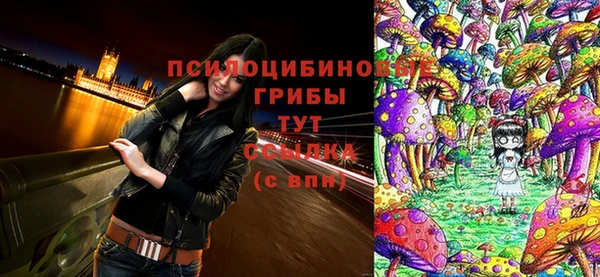 гидра Абдулино