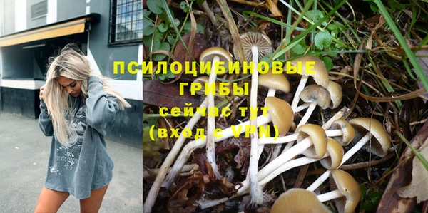 гидра Абдулино