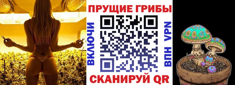 omg ссылки  Фокино  Галлюциногенные грибы Magic Shrooms 